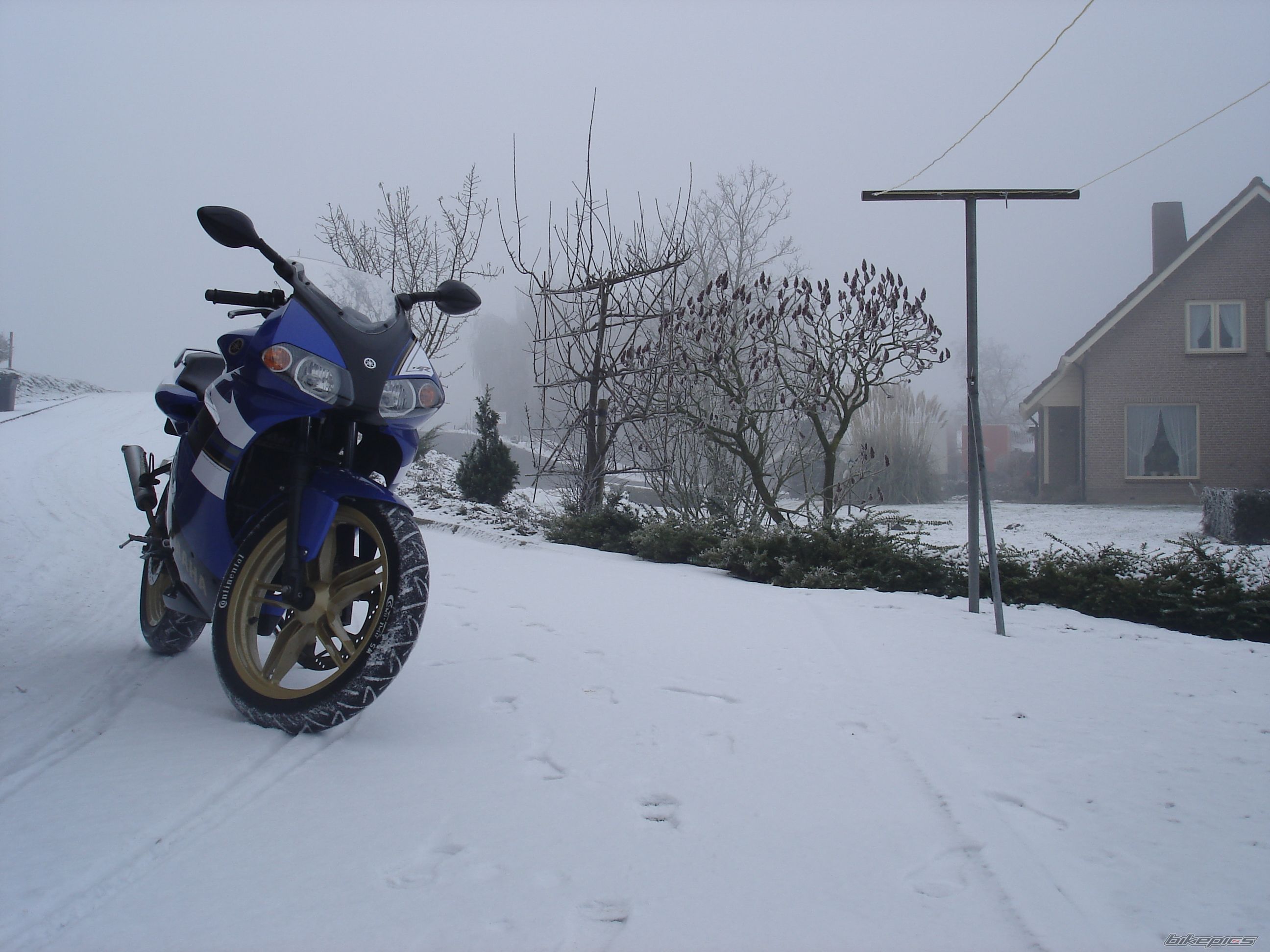 Photo 1534885