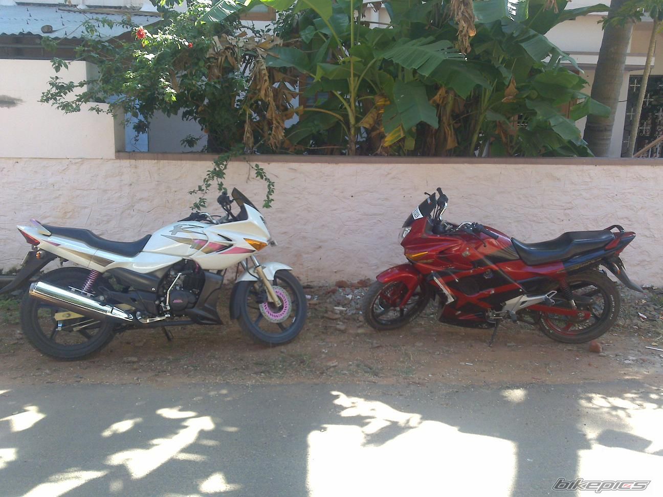 Photo 1534886