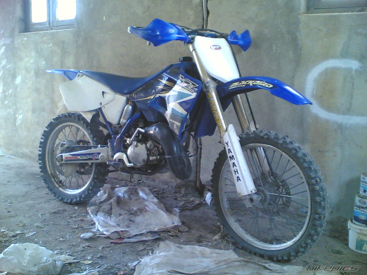 Photo 1535032