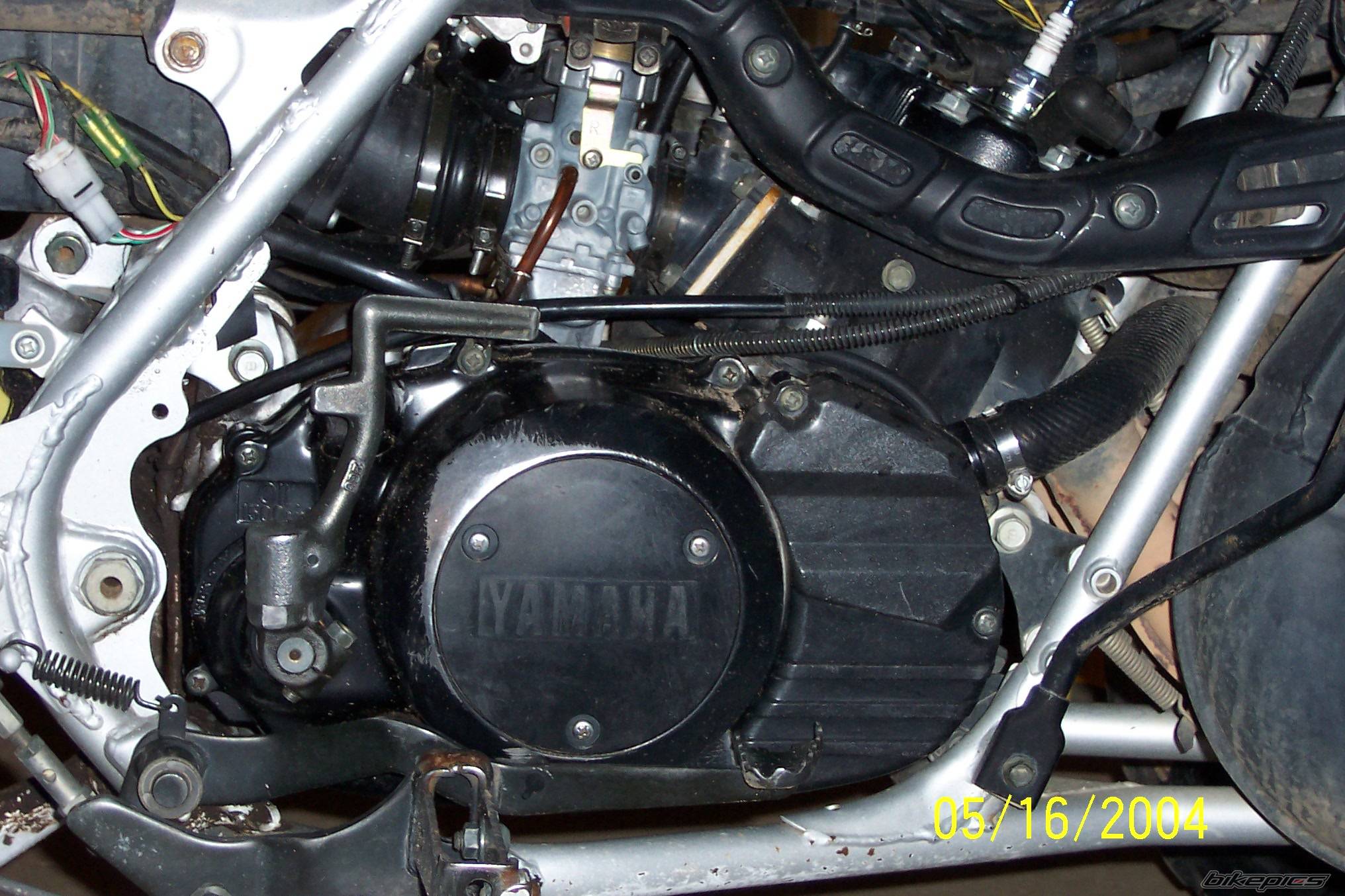Photo 153517