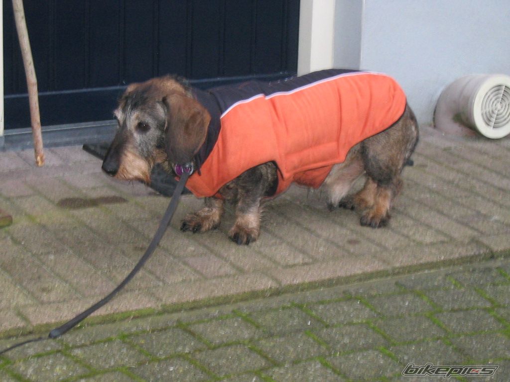 Photo 1535293