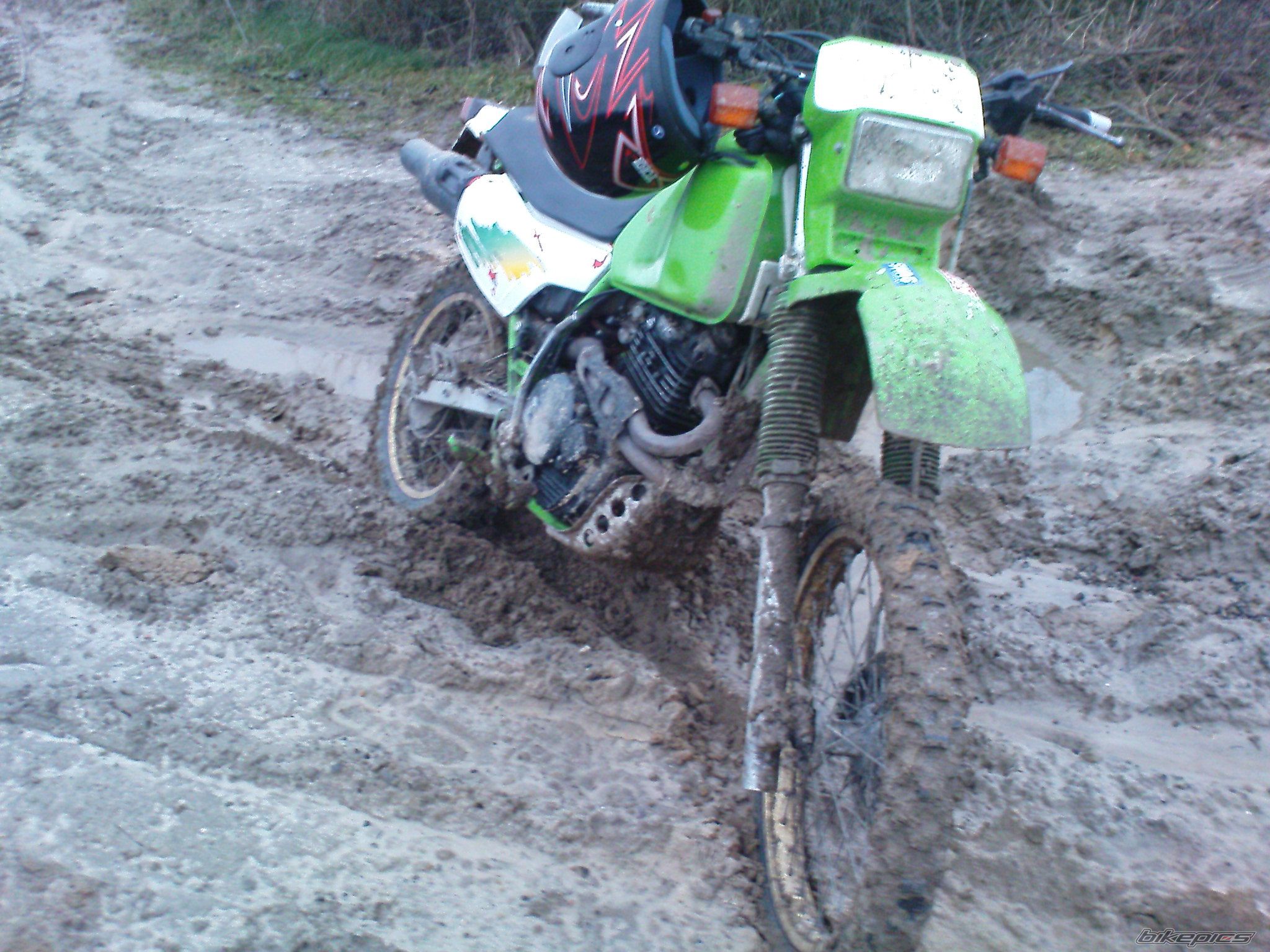 Photo 1535451