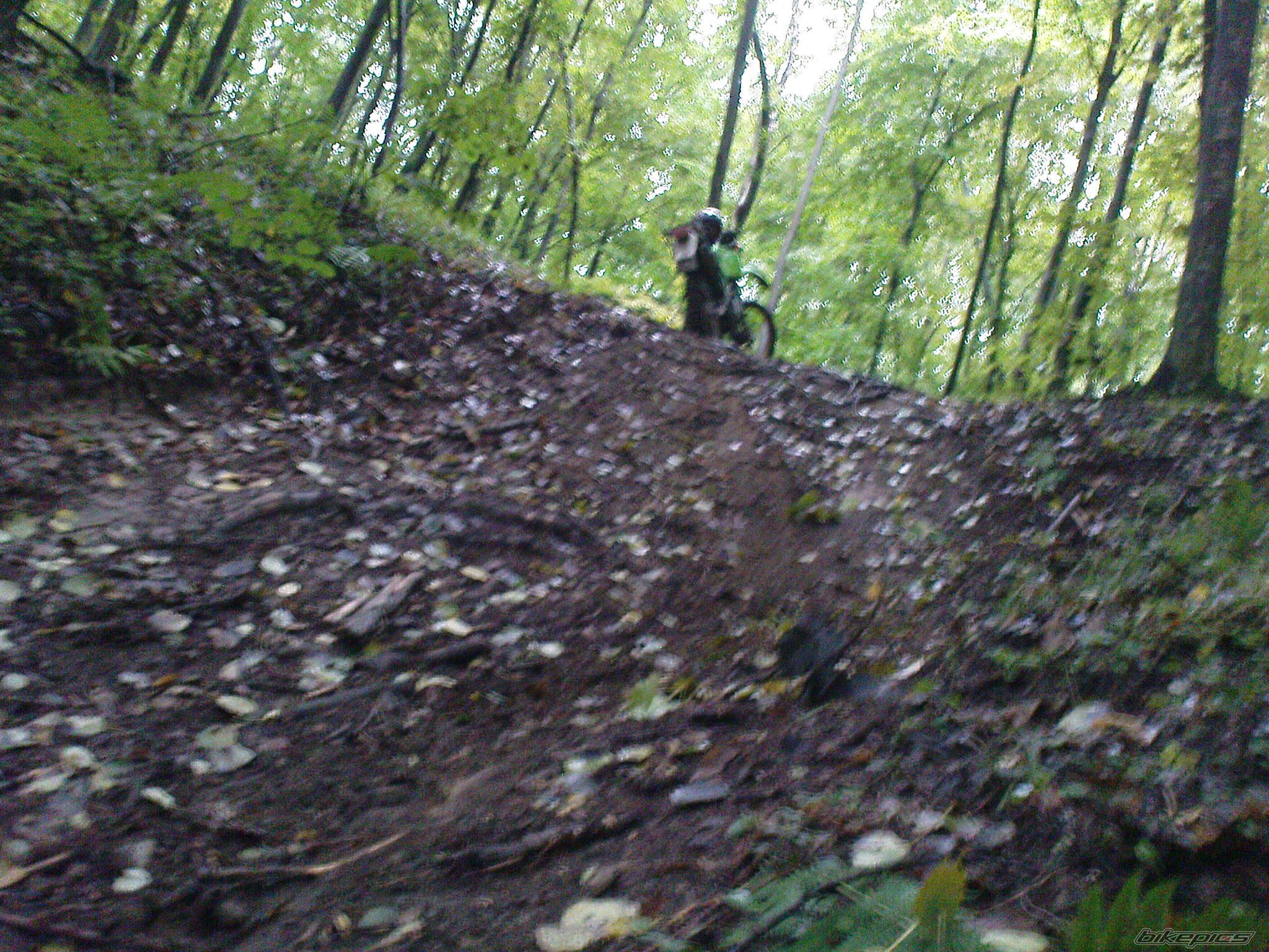 Photo 1535462