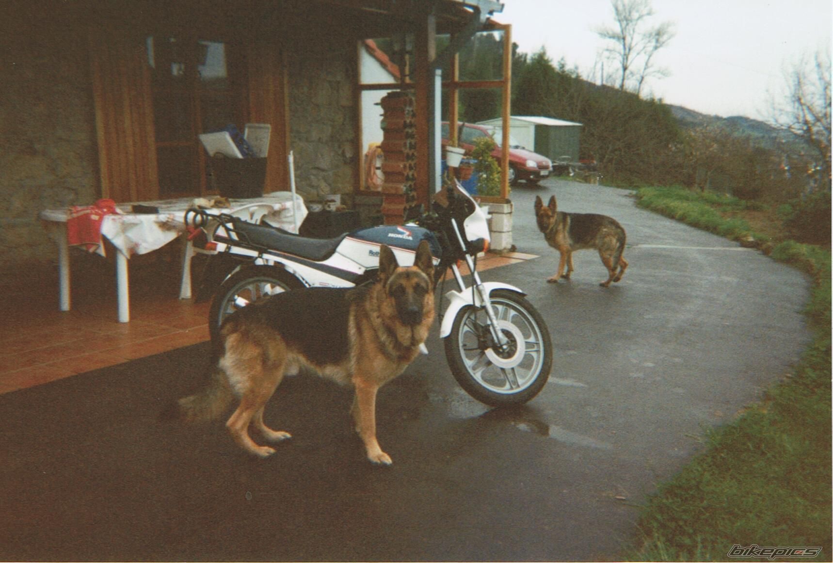 Photo 1535538