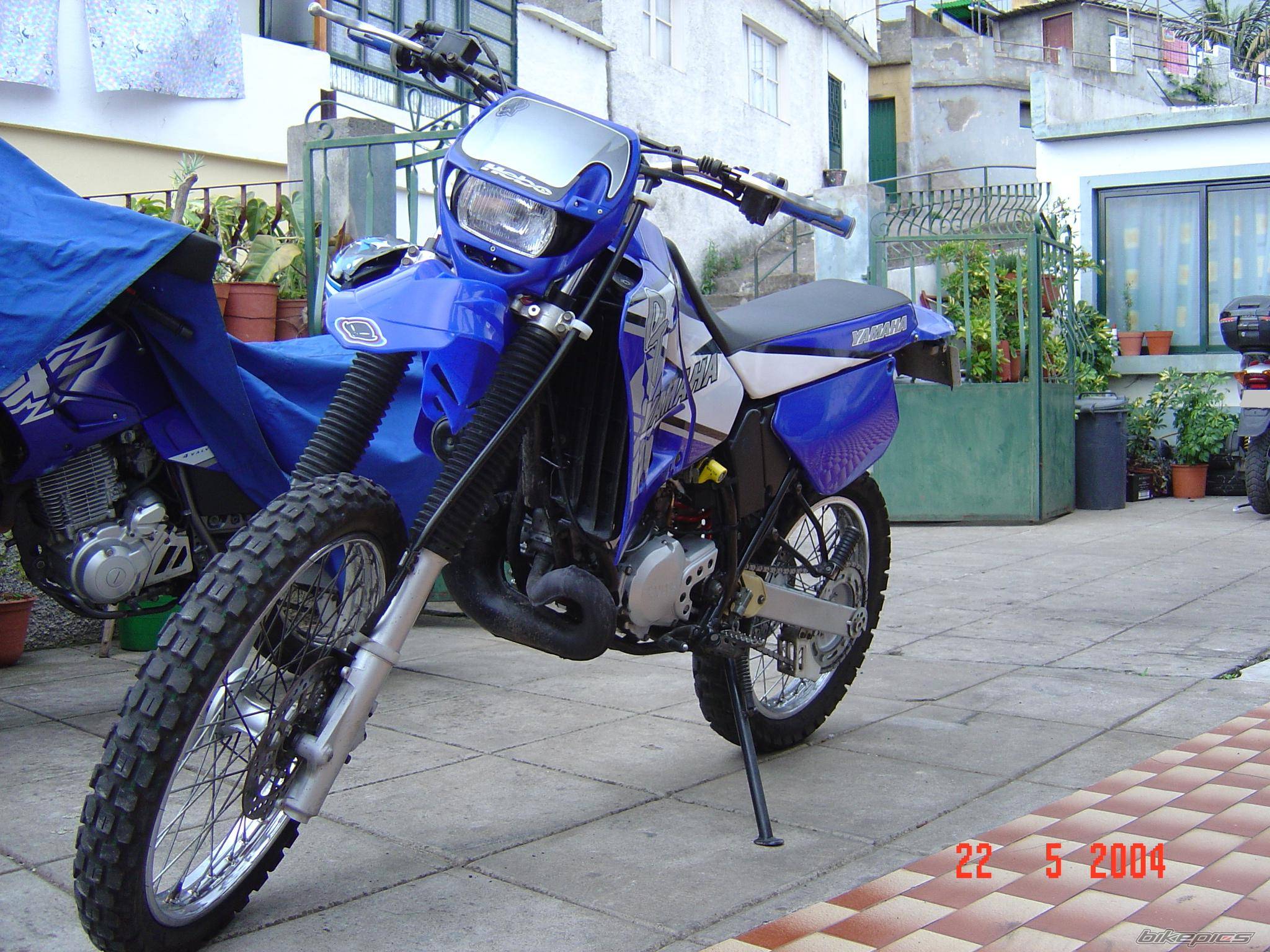 Photo 153571