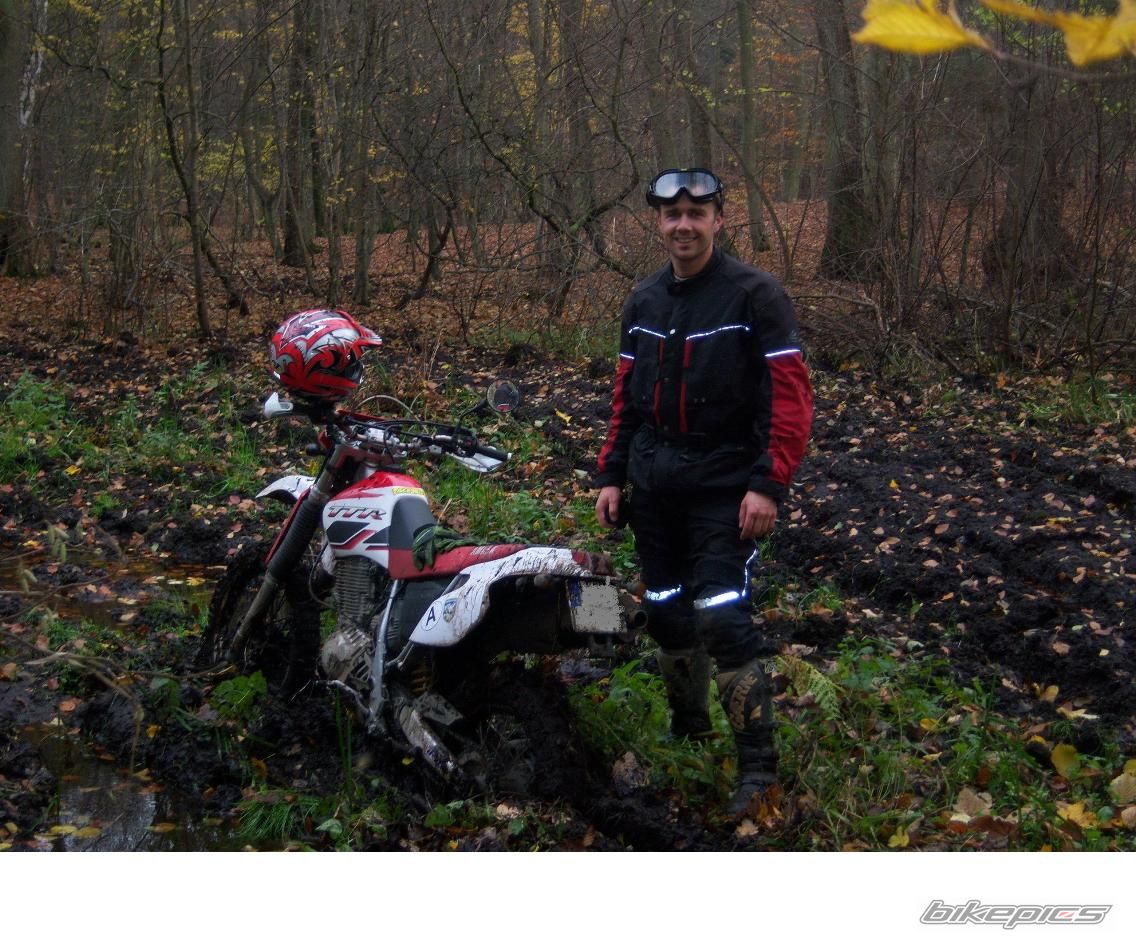 Bike Photo 1535843