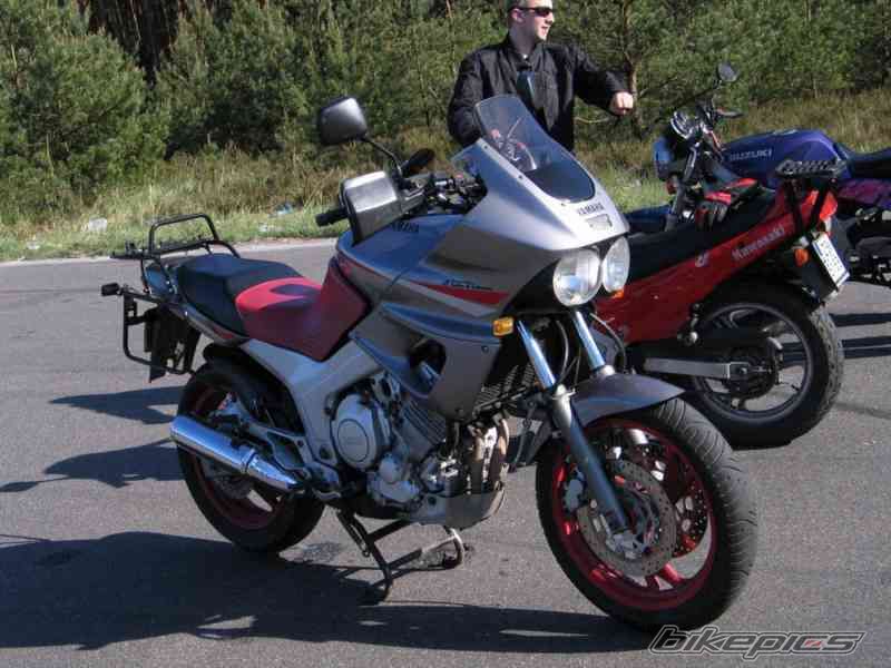 Photo 1535855
