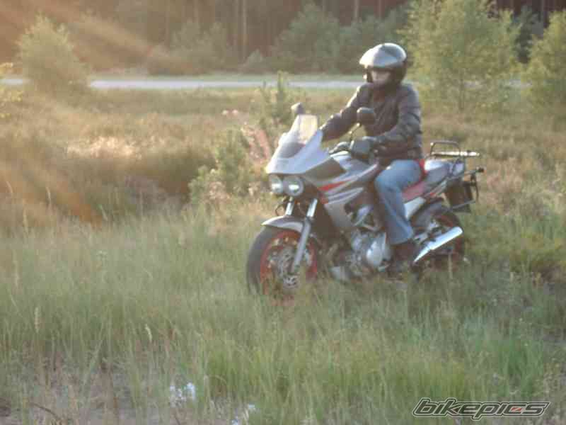 Photo 1535872