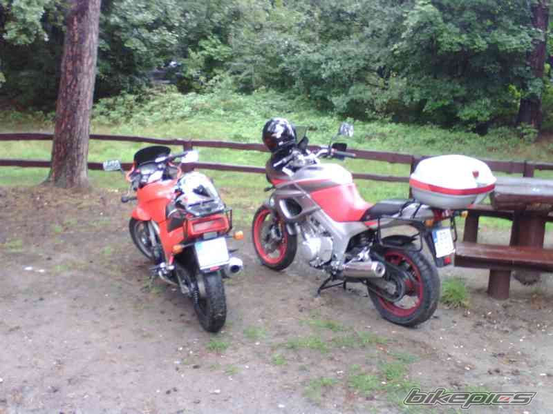 Photo 1535961