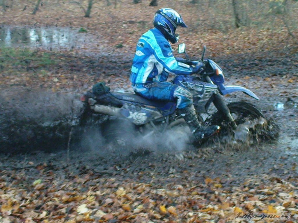 Bike Photo 1536060