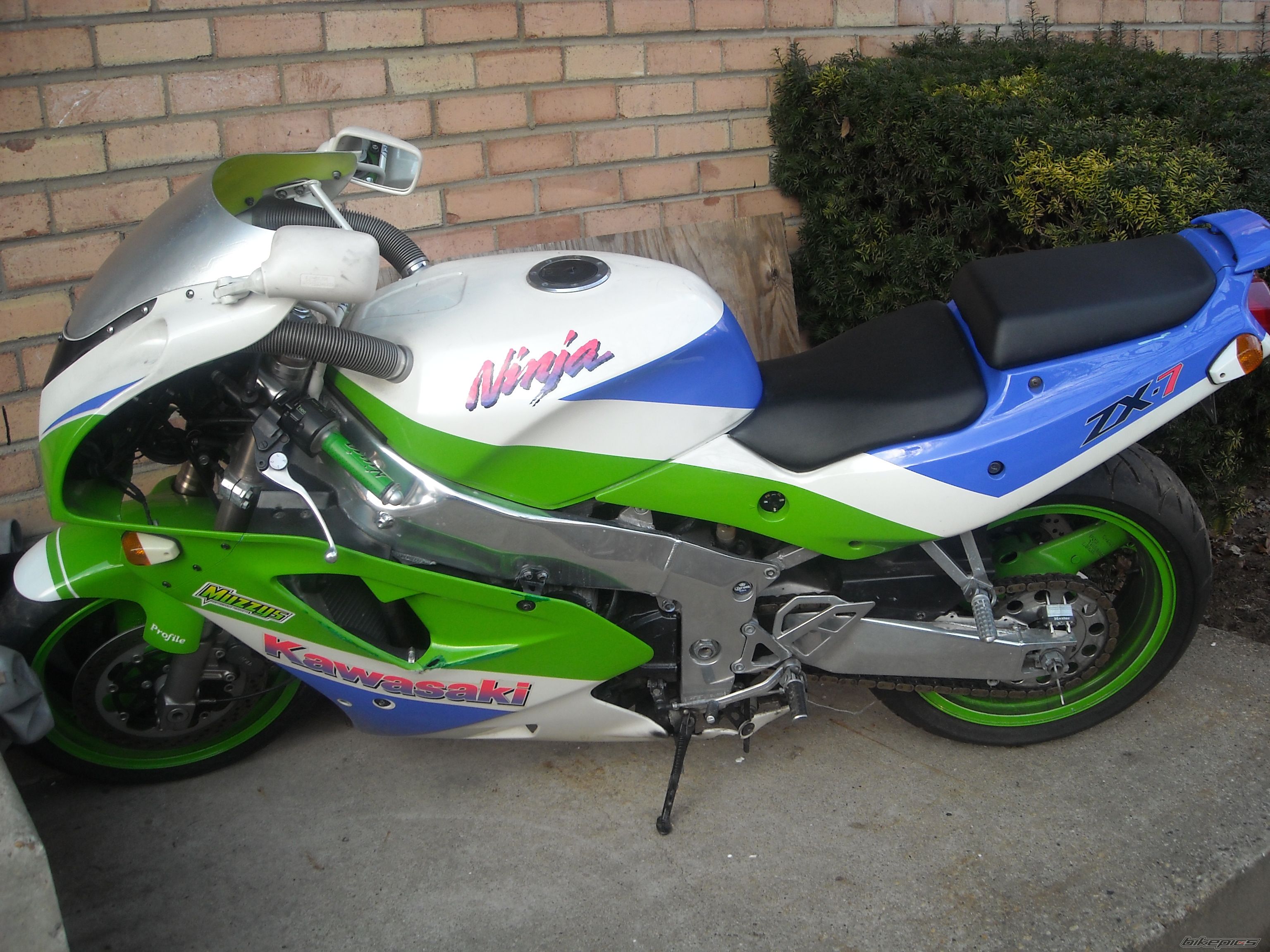 Photo 1536227