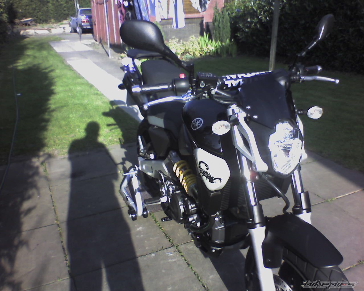 Photo 1536254