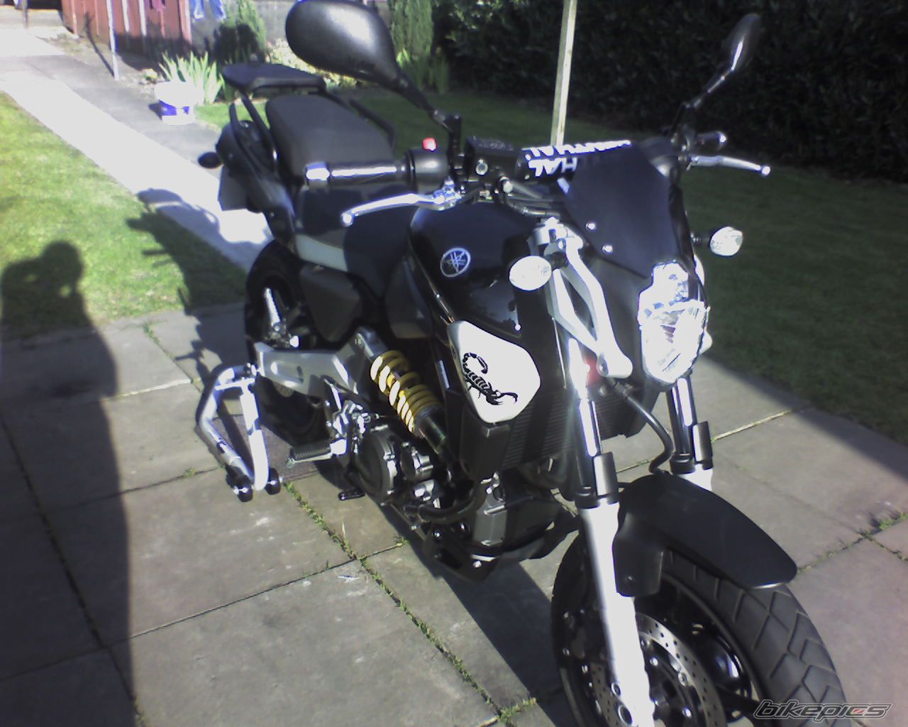Photo 1536268