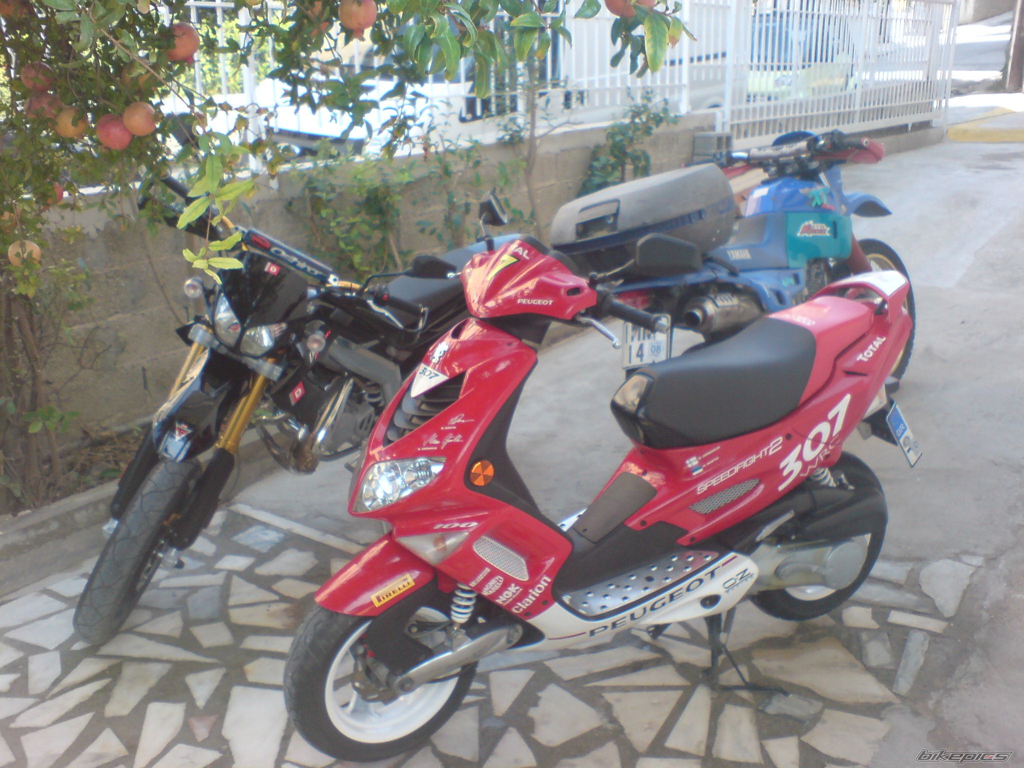 Photo 1536307