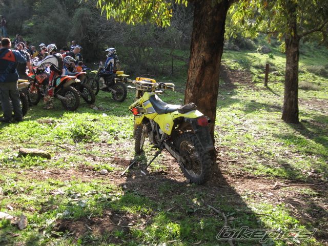 Bike Photo 1536369