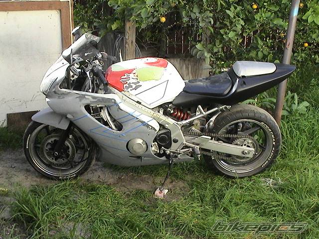 Photo 153661