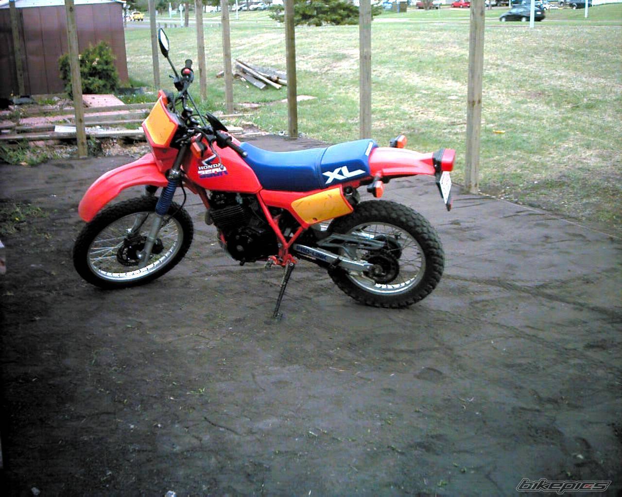 Photo 153668