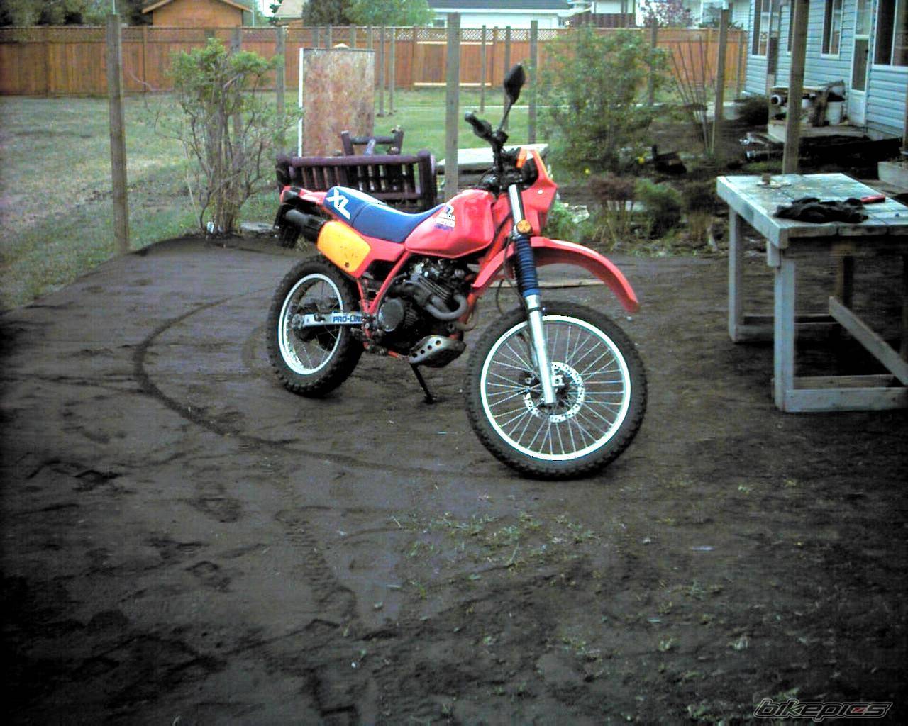 Photo 153669