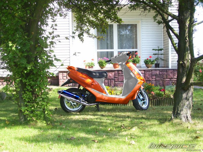 Photo 1536732