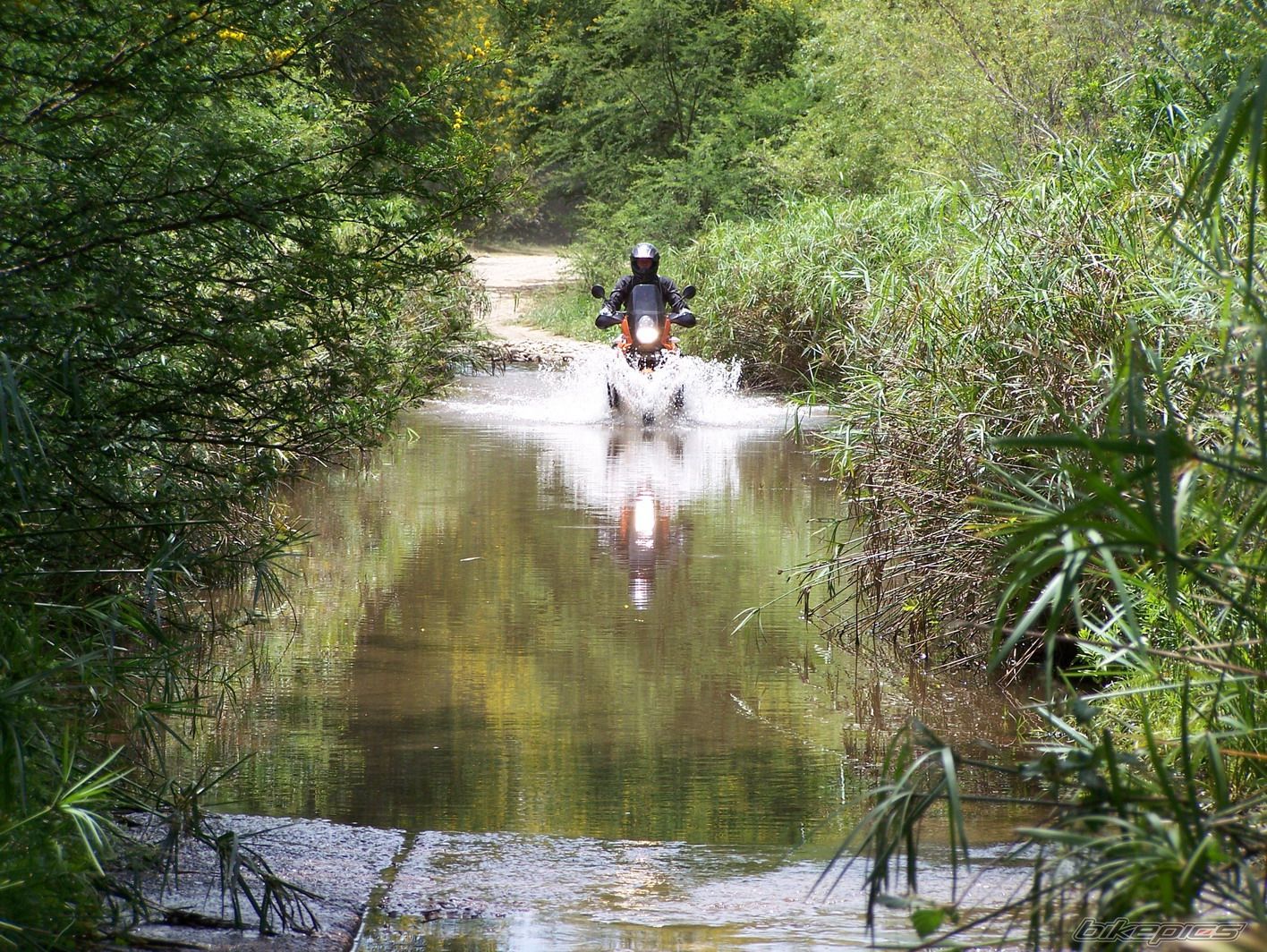 Bike Photo 1536820