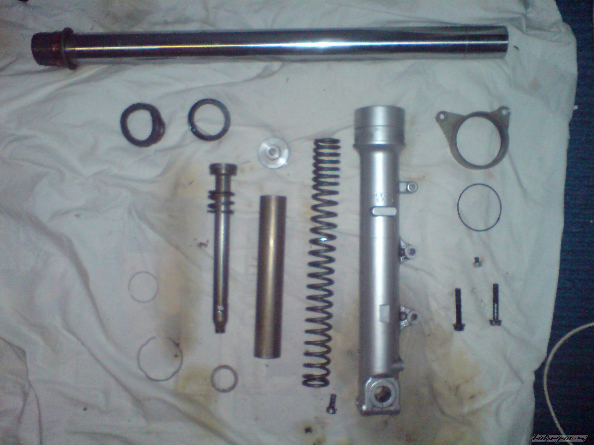 Photo 1536988