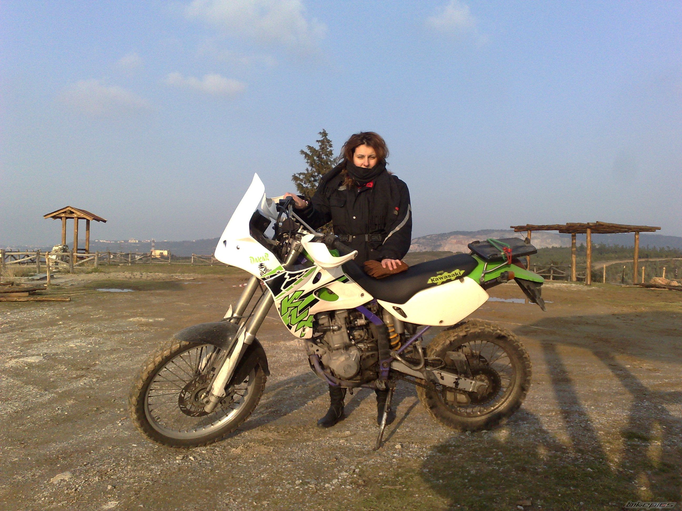 Photo 1537086