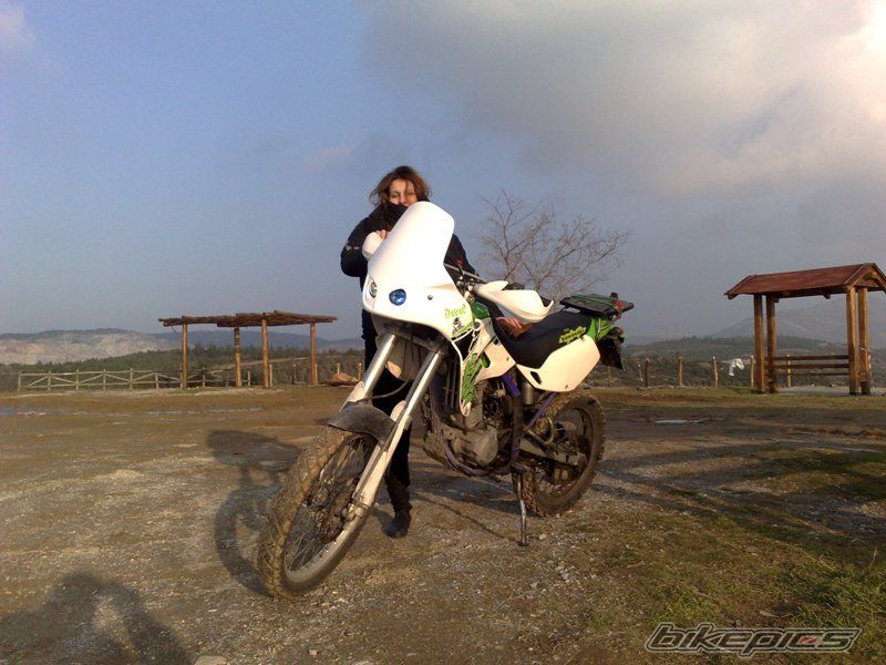 Photo 1537087