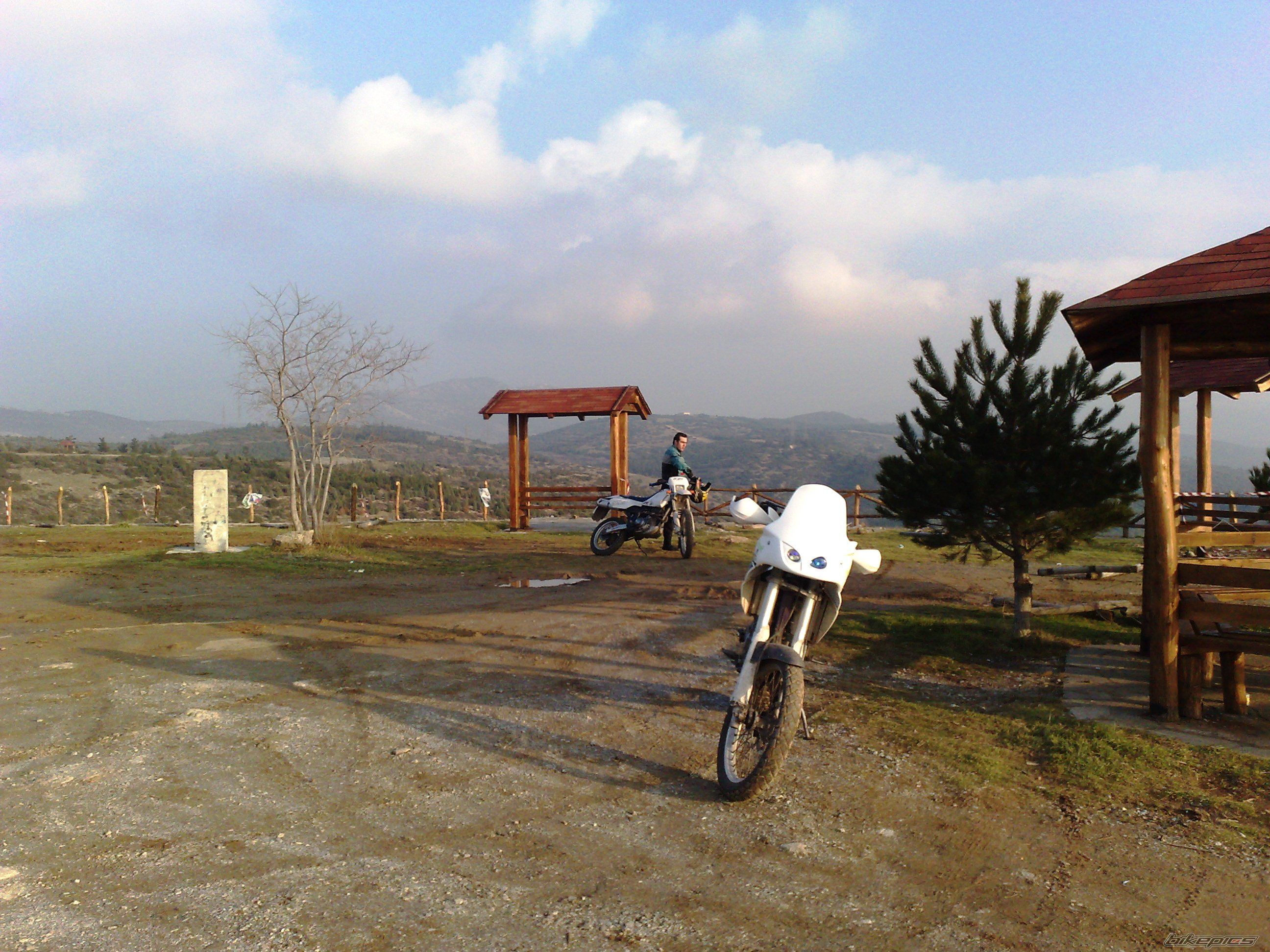 Photo 1537091
