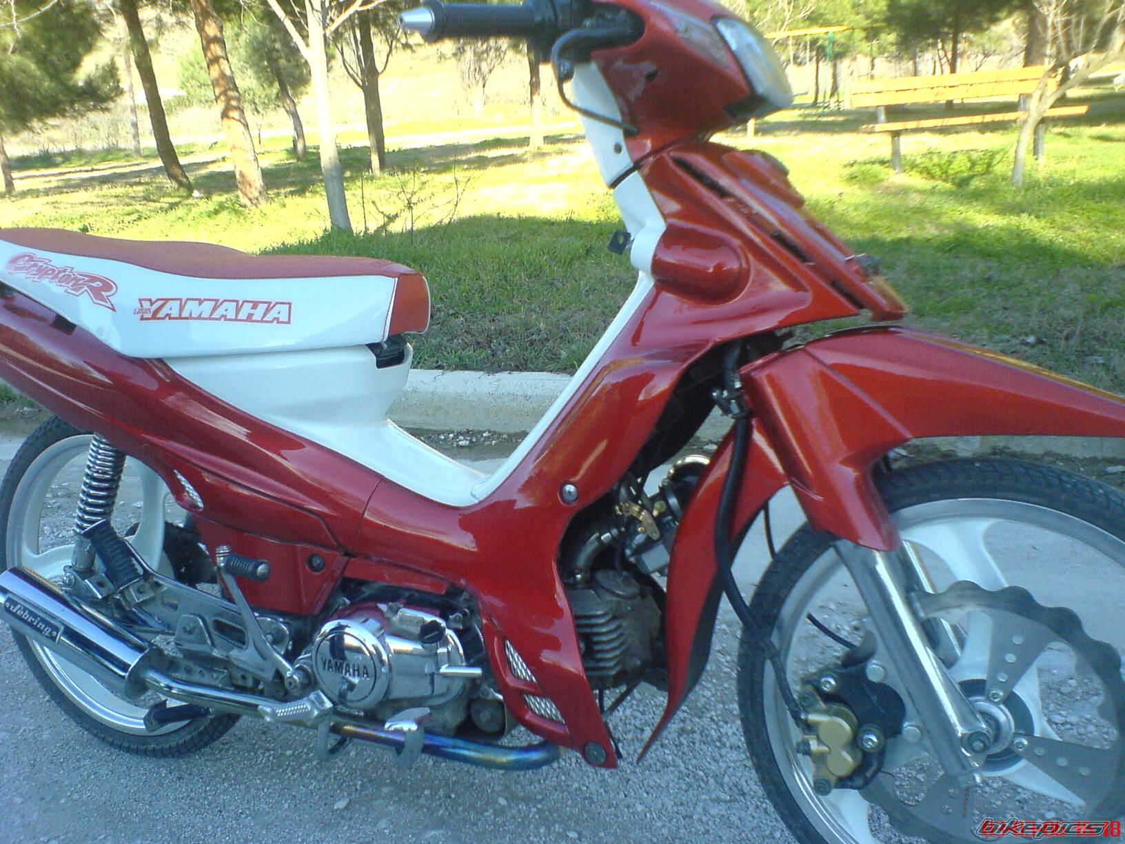 Photo 1537112