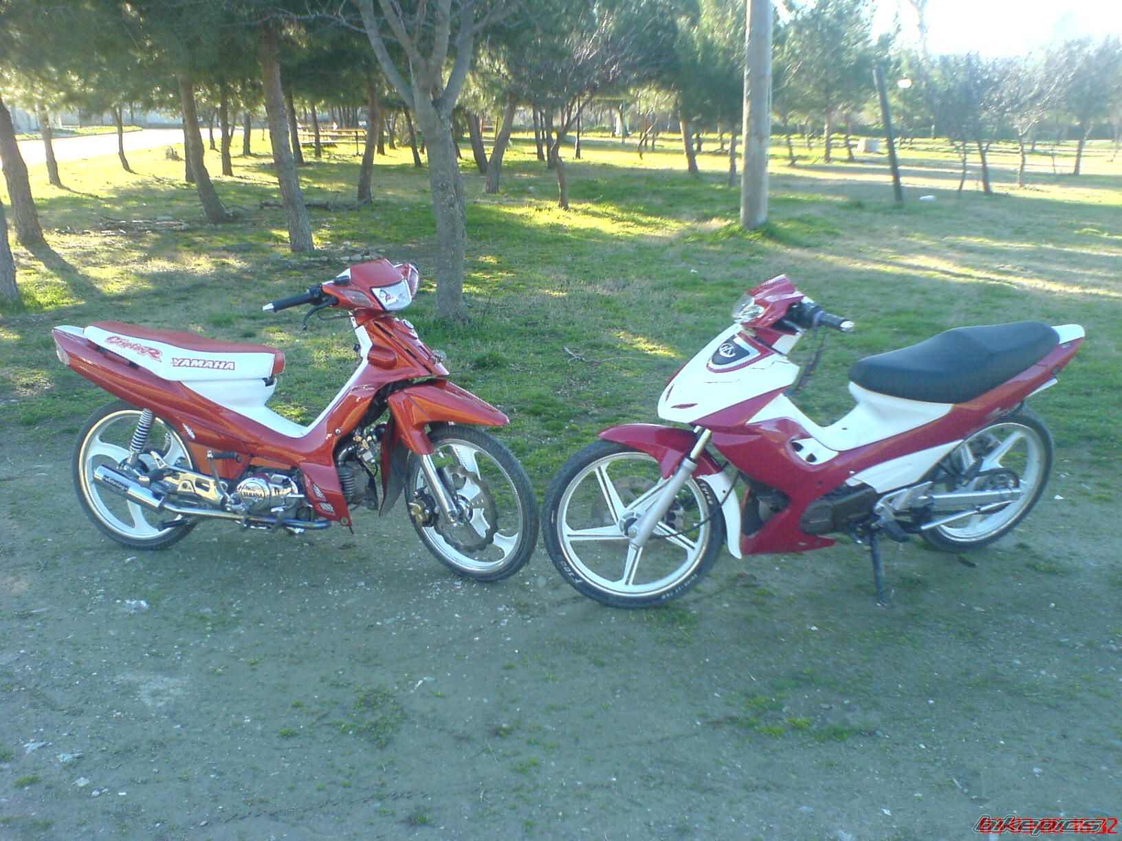 Photo 1537120