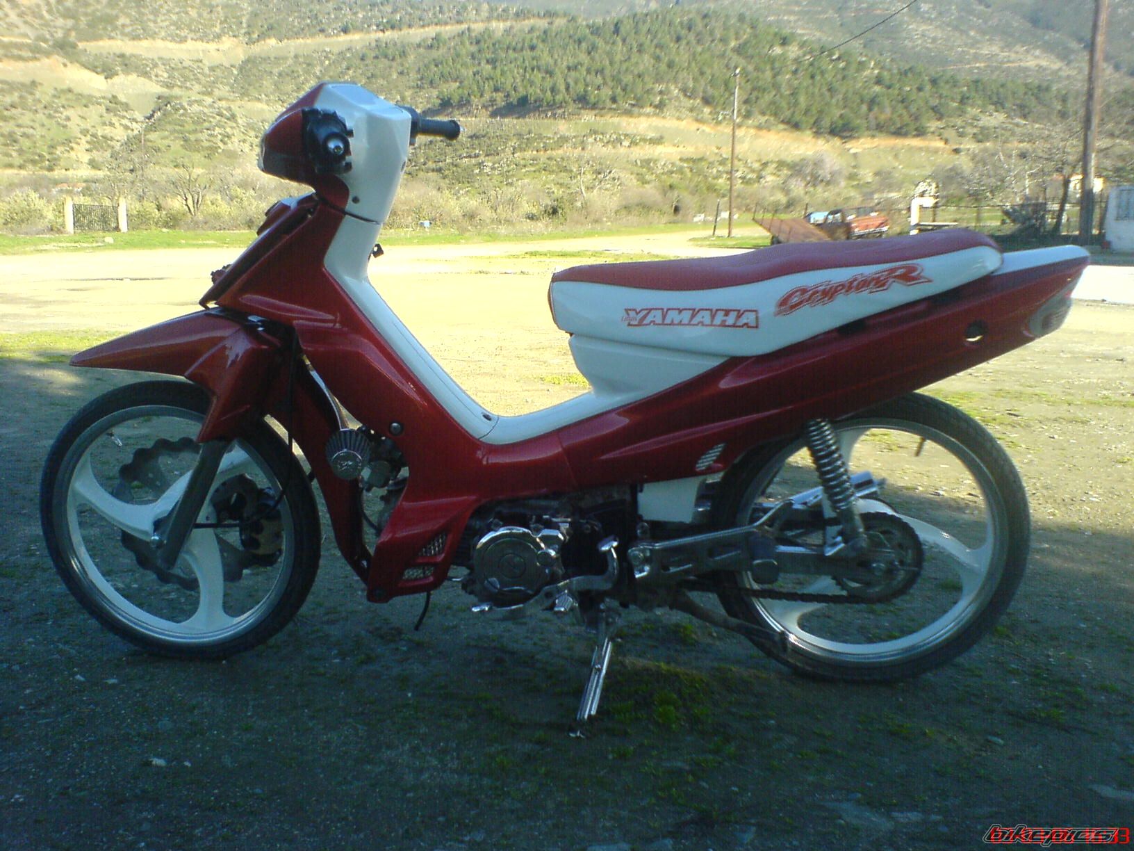 Photo 1537122