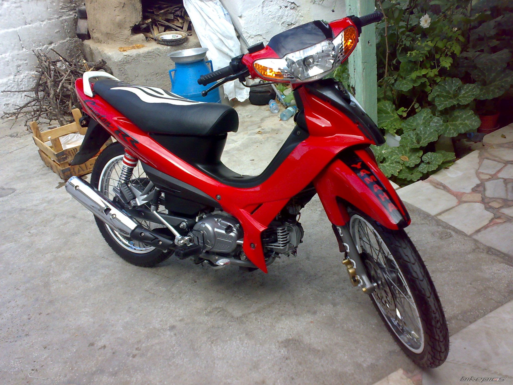 Photo 1537155