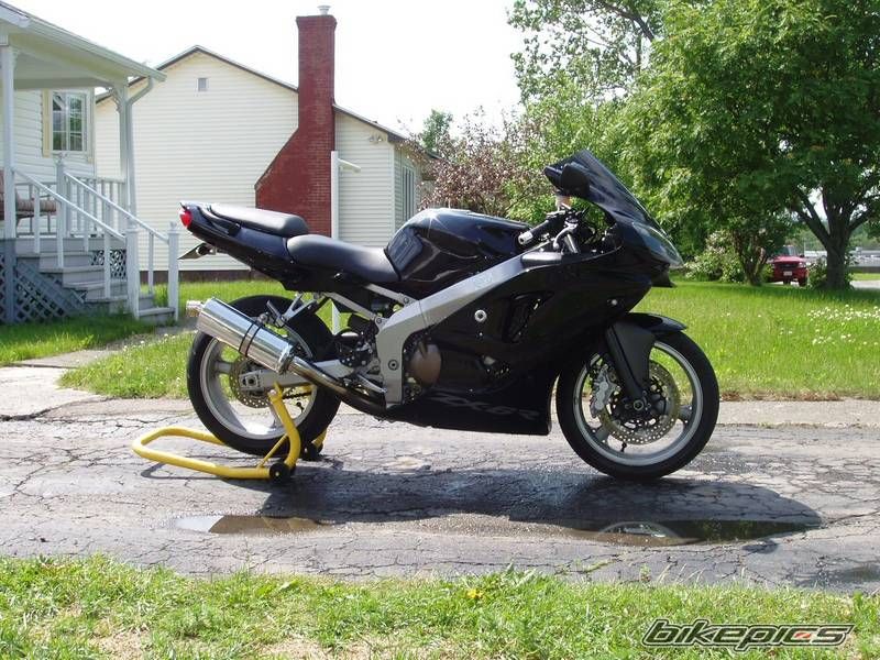 Photo 1537161