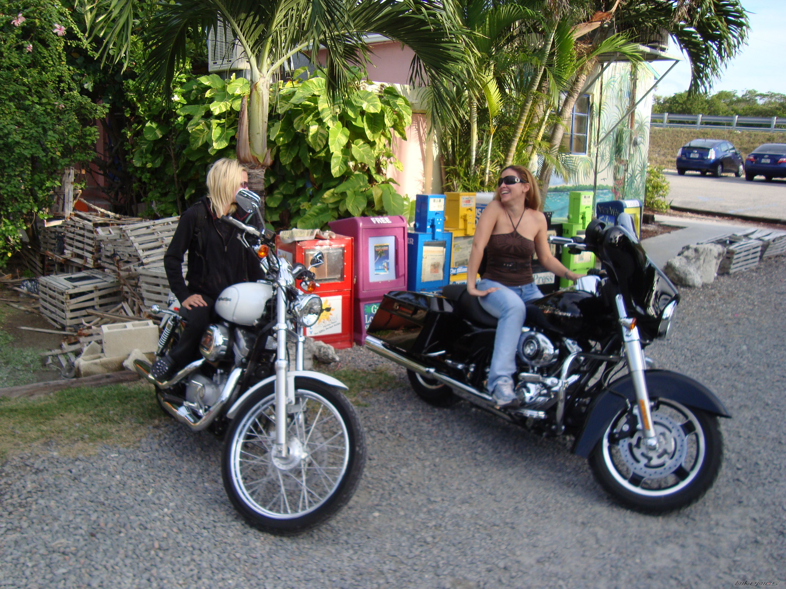 Photo 1537164