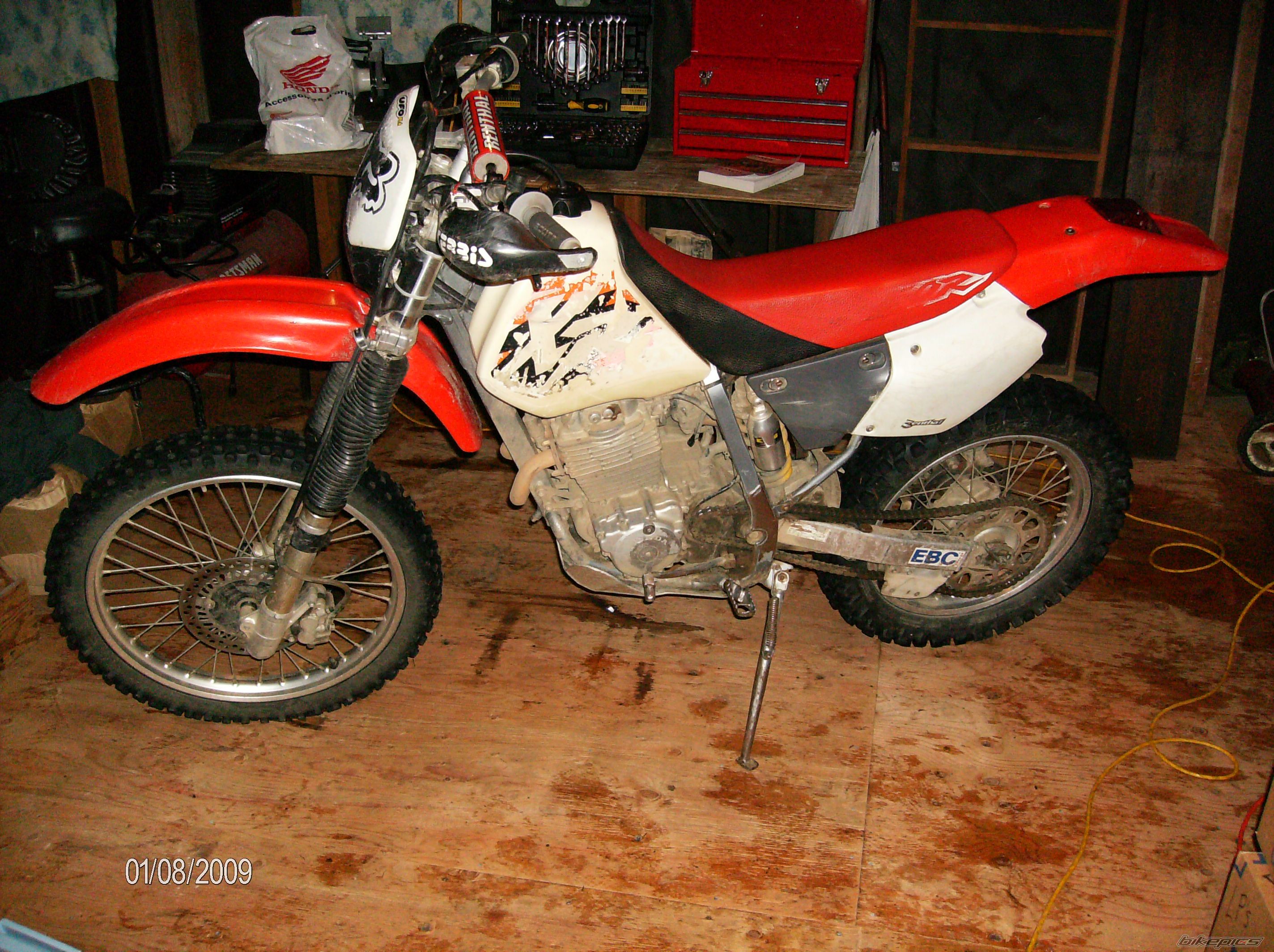 Photo 1537183