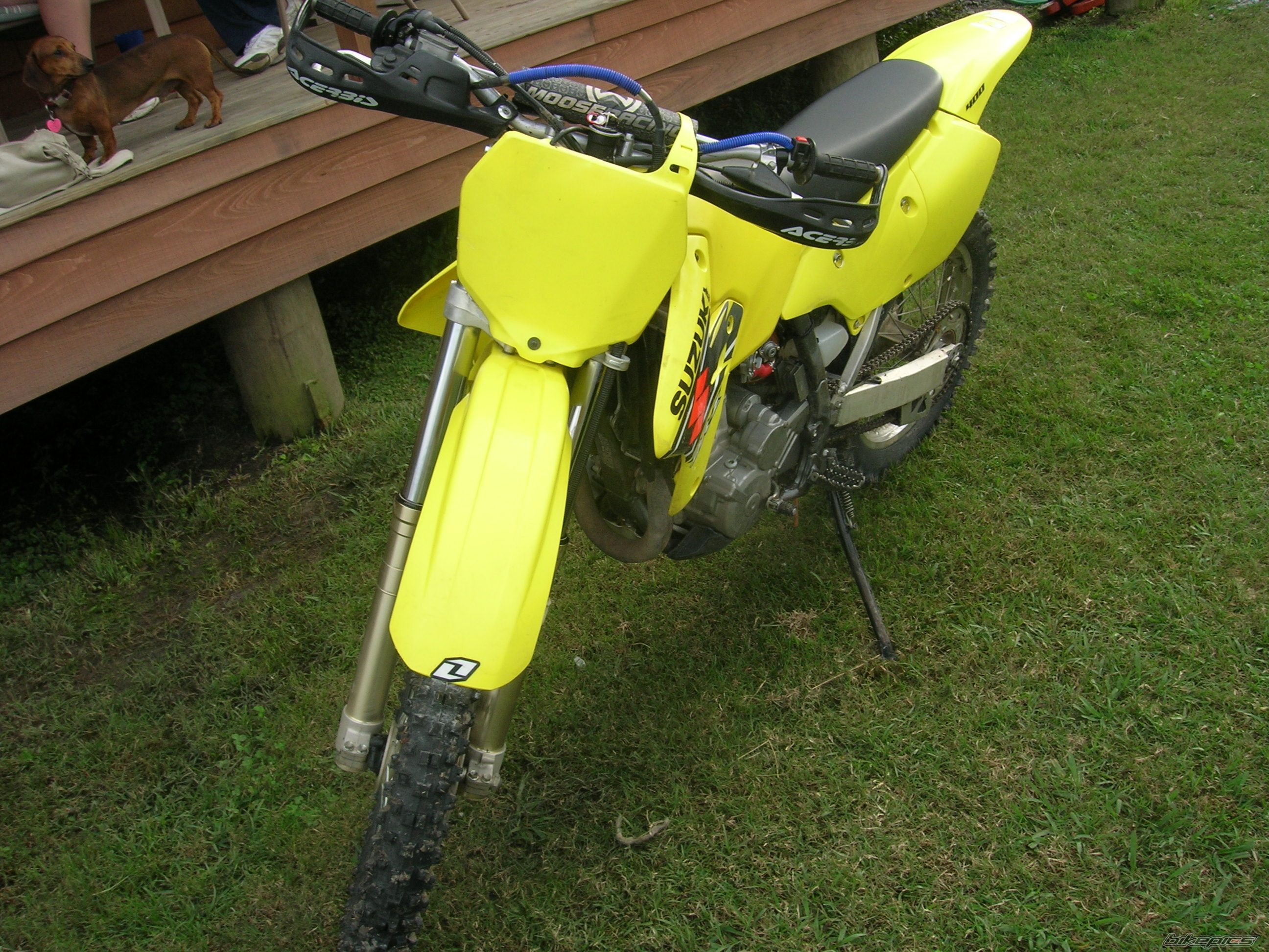 Photo 1537229