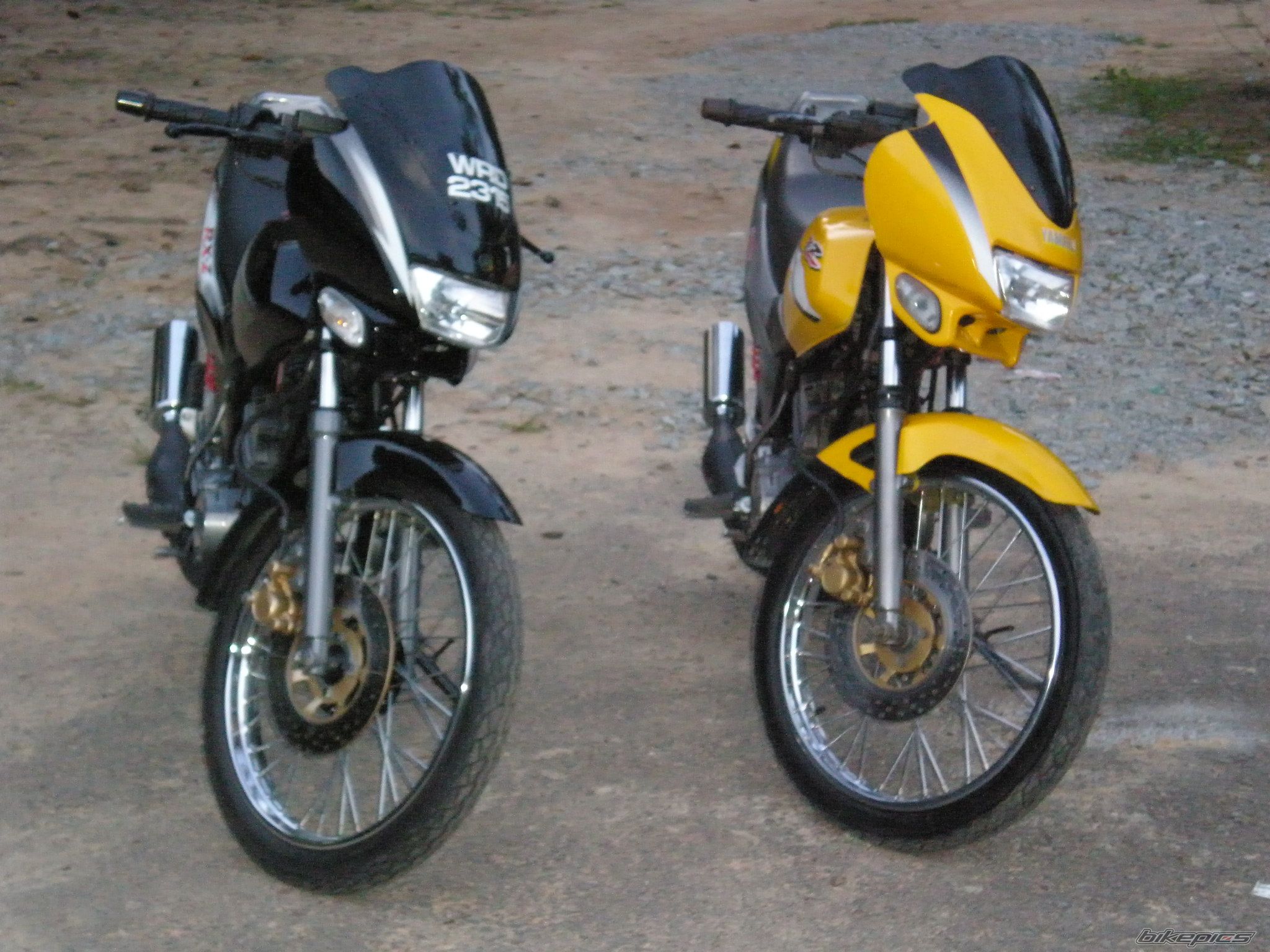 Photo 1537293