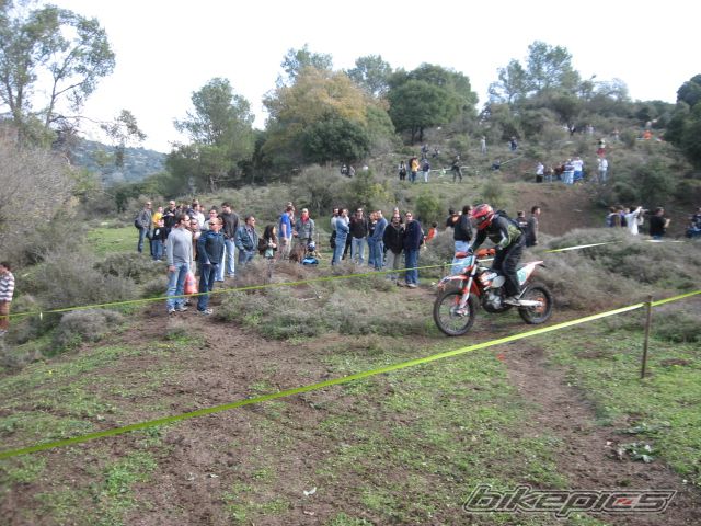 Bike Photo 1537339