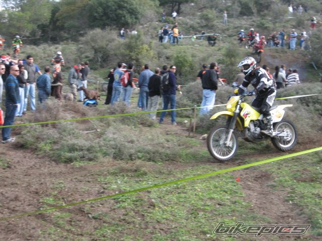 Photo 1537346