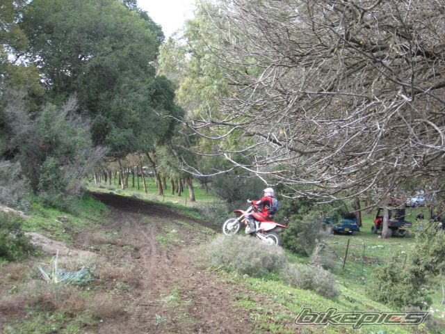 Photo 1537350