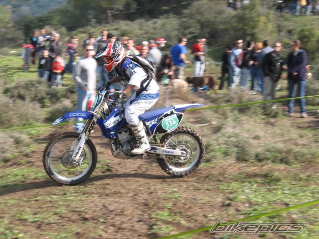 Photo 1537360