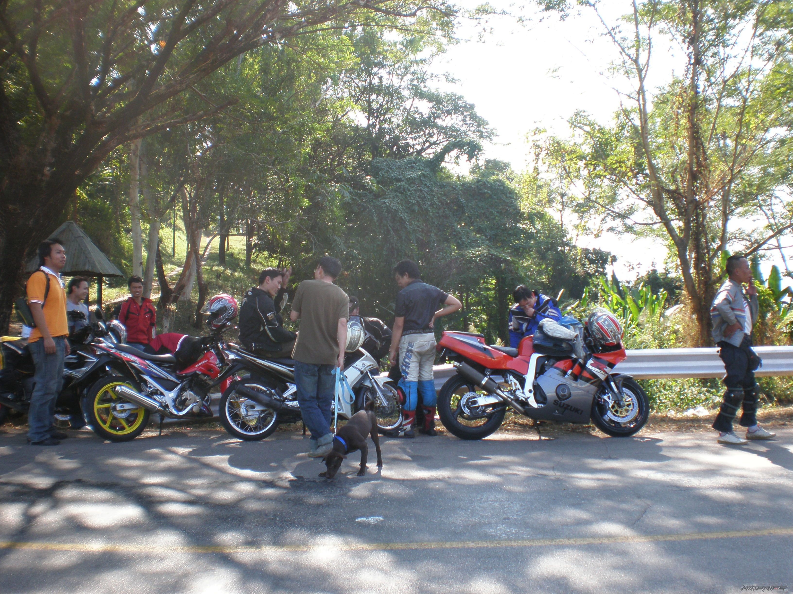 Photo 1537388