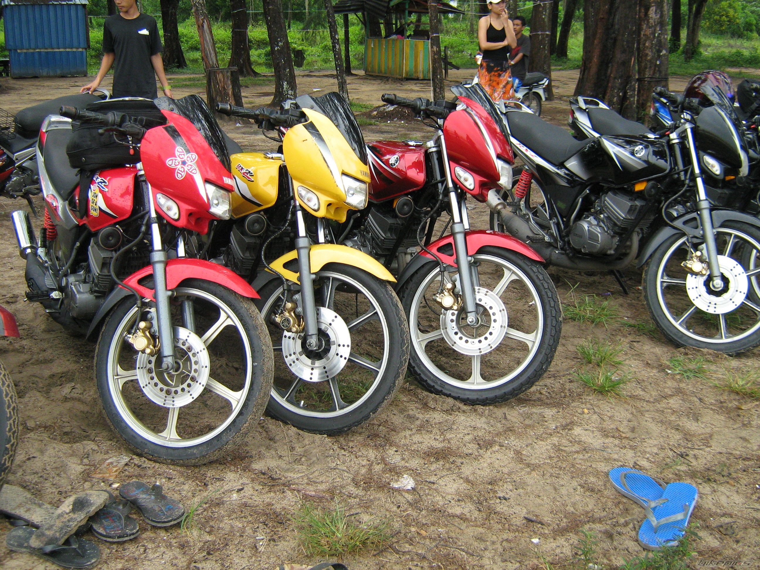 Photo 1537421