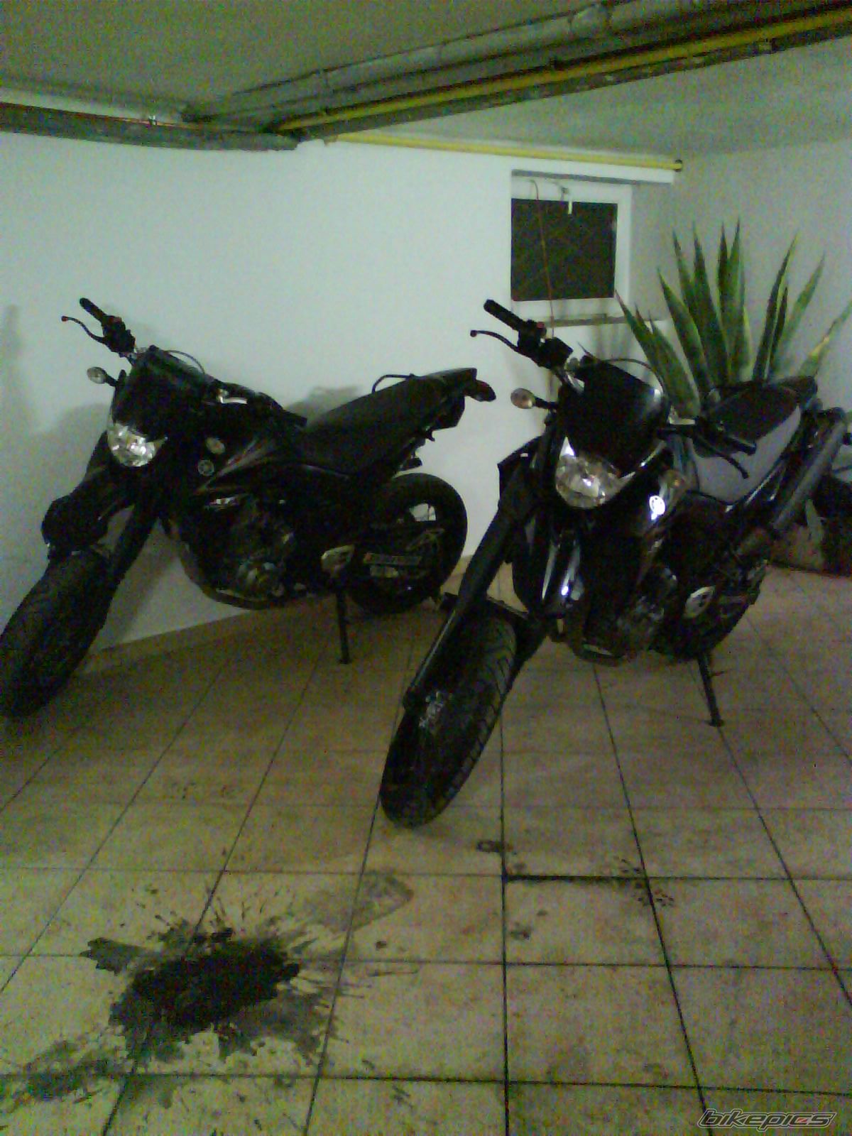 Photo 1537431