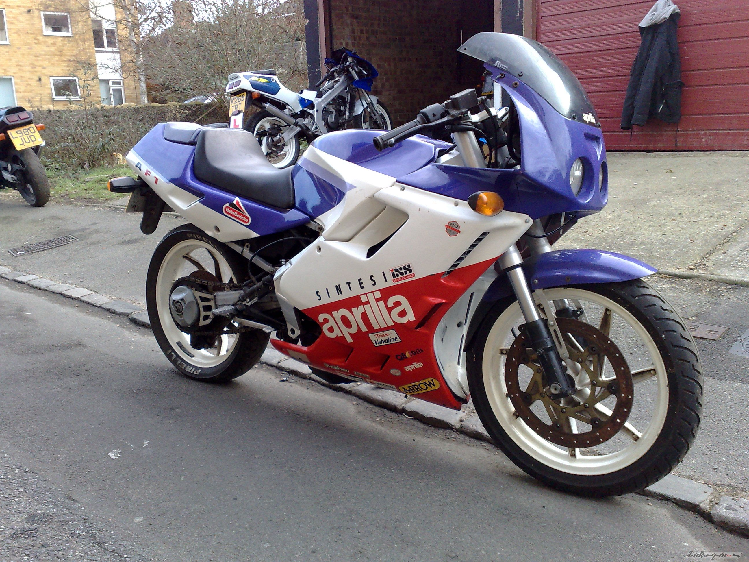 Photo 1537495