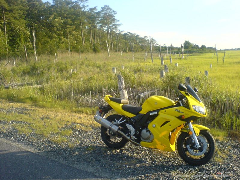 Photo 1537521
