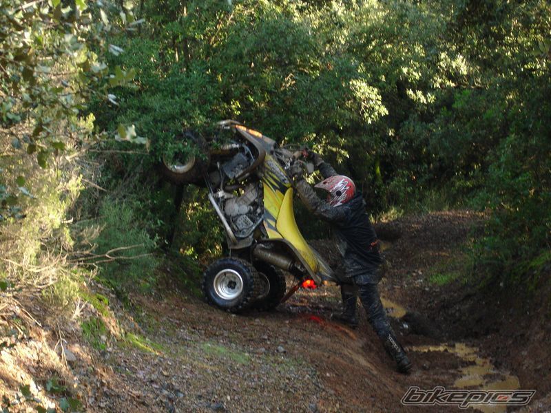 Bike Photo 1537574