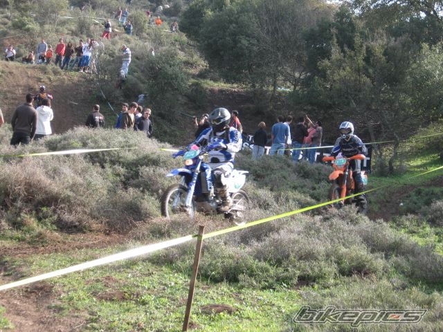 Photo 1537596