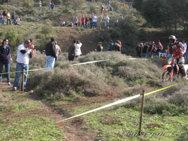 Photo 1537602