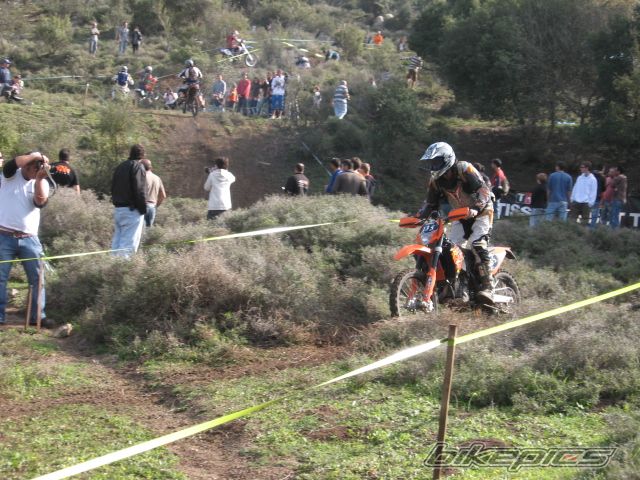 Photo 1537604